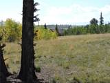 16 Buckshot Trail - Photo 42