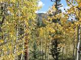 16 Buckshot Trail - Photo 7