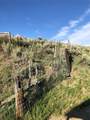 TBD County Road 46A - Photo 17