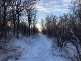 TBD County Road 46A - Photo 19