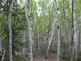 461 Superstition Trail - Photo 10