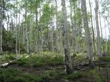 461 Superstition Trail - Photo 12