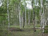 461 Superstition Trail - Photo 16