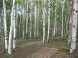 461 Superstition Trail - Photo 17