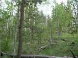 461 Superstition Trail - Photo 4