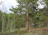 461 Superstition Trail - Photo 5