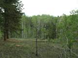 461 Superstition Trail - Photo 7