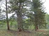 461 Superstition Trail - Photo 8
