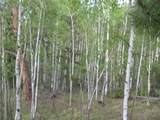 461 Superstition Trail - Photo 9