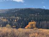 000 Springboard Trail - Photo 2