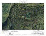 000 Springboard Trail - Photo 4