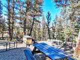 40 Trout Creek Lane - Photo 2