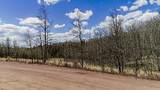 824 Palmer Peak Drive - Photo 10