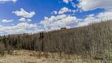824 Palmer Peak Drive - Photo 11