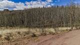 824 Palmer Peak Drive - Photo 13