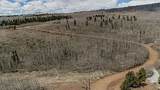 824 Palmer Peak Drive - Photo 20