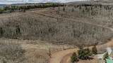 824 Palmer Peak Drive - Photo 22