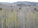 824 Palmer Peak Drive - Photo 29