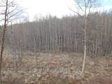 824 Palmer Peak Drive - Photo 34