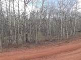 824 Palmer Peak Drive - Photo 35