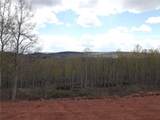 824 Palmer Peak Drive - Photo 36