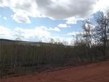 824 Palmer Peak Drive - Photo 37