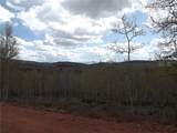 824 Palmer Peak Drive - Photo 39