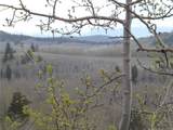 824 Palmer Peak Drive - Photo 6