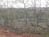 824 Palmer Peak Drive - Photo 7