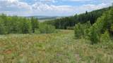 562 Palmer Peak Drive - Photo 11