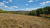 562 Palmer Peak Drive - Photo 13