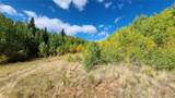 562 Palmer Peak Drive - Photo 14