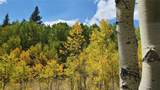 562 Palmer Peak Drive - Photo 16