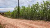562 Palmer Peak Drive - Photo 18