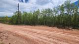 562 Palmer Peak Drive - Photo 19