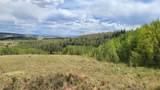 562 Palmer Peak Drive - Photo 3