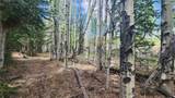 562 Palmer Peak Drive - Photo 34