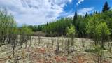 562 Palmer Peak Drive - Photo 39
