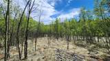 562 Palmer Peak Drive - Photo 43