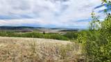 562 Palmer Peak Drive - Photo 46