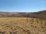 562 Palmer Peak Drive - Photo 6