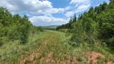 562 Palmer Peak Drive - Photo 9