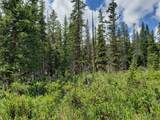 585 Porcupine Road - Photo 1