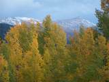 TBD Glacier Ridge Road - Photo 2