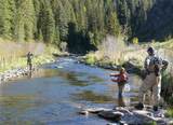 10 Whiffle Tree Trail - Photo 13
