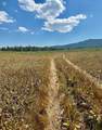 10 Whiffle Tree Trail - Photo 2