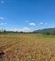 10 Whiffle Tree Trail - Photo 4