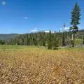 10 Whiffle Tree Trail - Photo 5