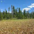 10 Whiffle Tree Trail - Photo 6