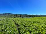 10 Whiffle Tree Trail - Photo 7